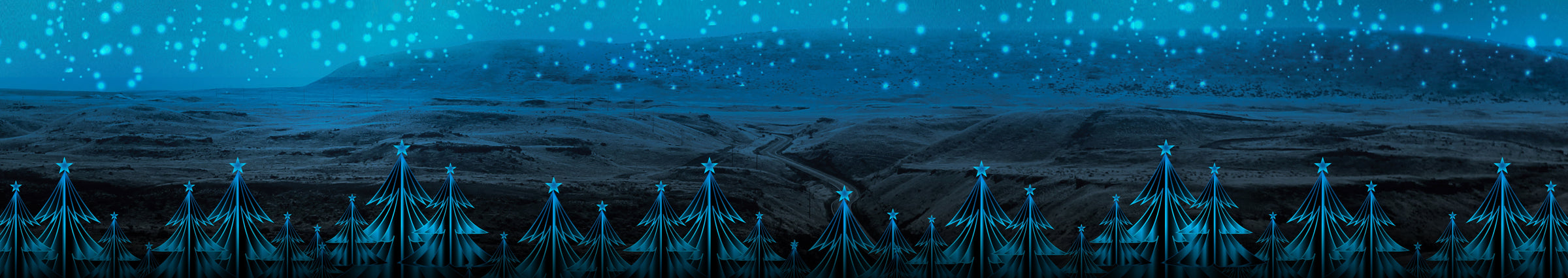 Navigator Christmas Bundles