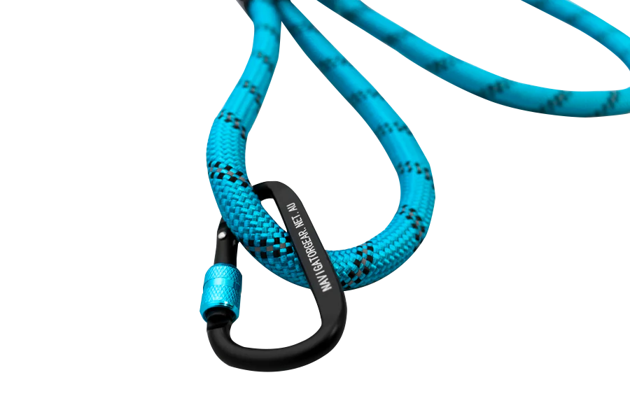 DOG LEASH BUDDY