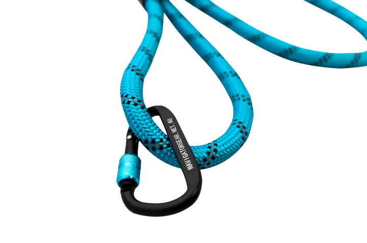 DOG LEASH BUDDY