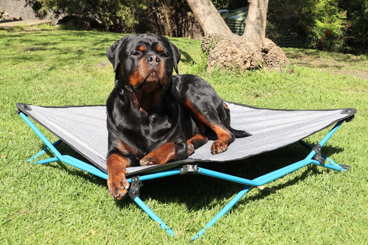 NAVI DOG BED - LARGE