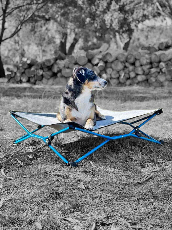 NAVI DOG BED