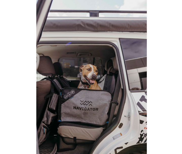 DOG SEAT BUDDY